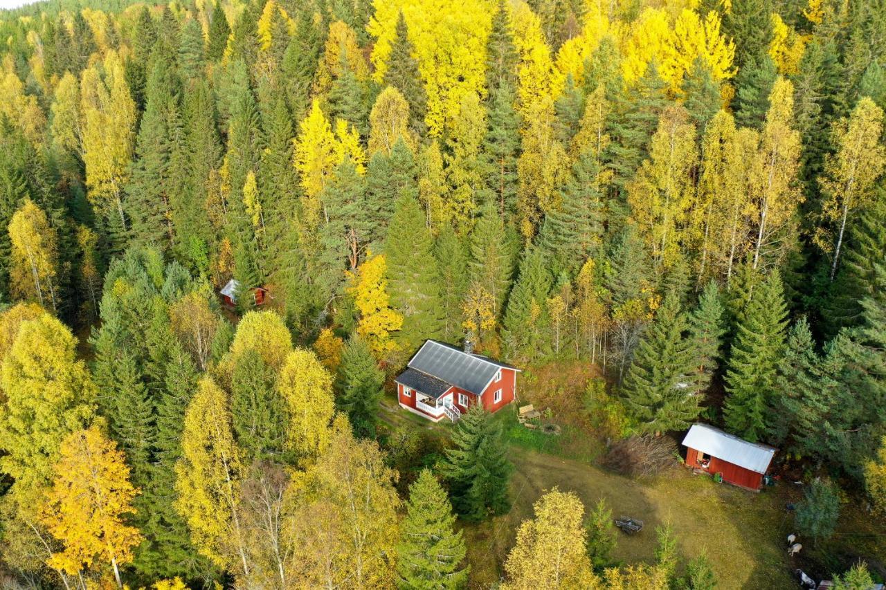 Little Forest House "Our Little Farm" Ekshärad Kültér fotó